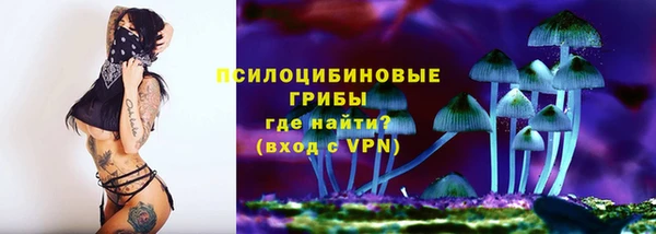 крисы Армянск