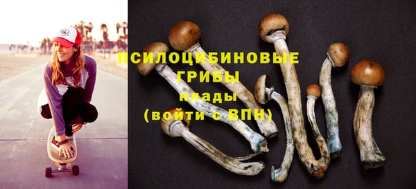 меф Арсеньев