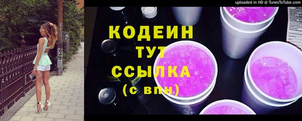 крисы Армянск