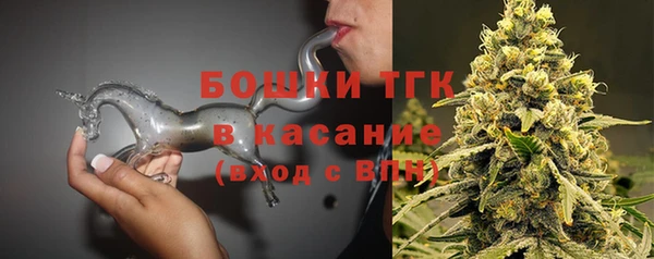 крисы Армянск